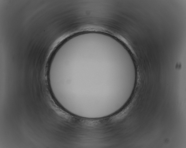 X0000091701074200708240928