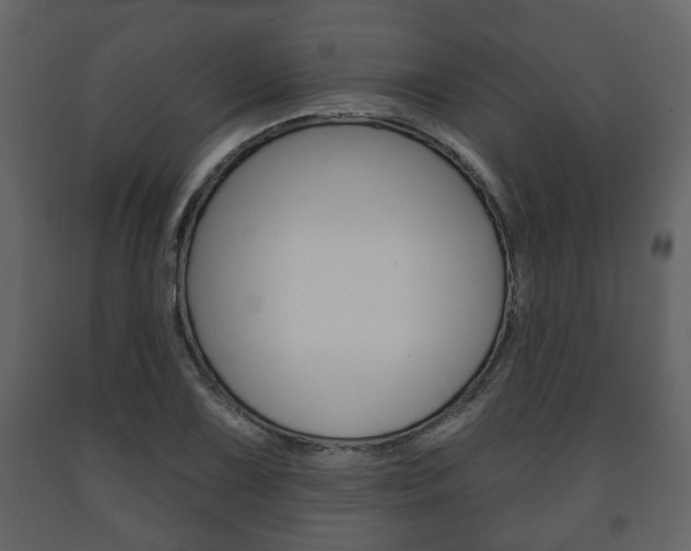 X0000091701075200708240928
