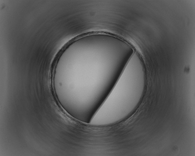X0000091701076200708240928