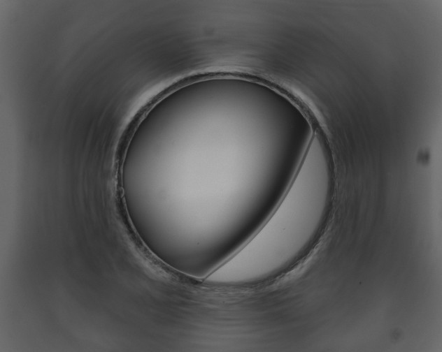 X0000091701077200708240928