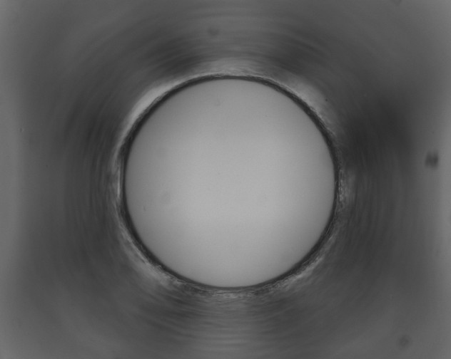 X0000091701078200708240928