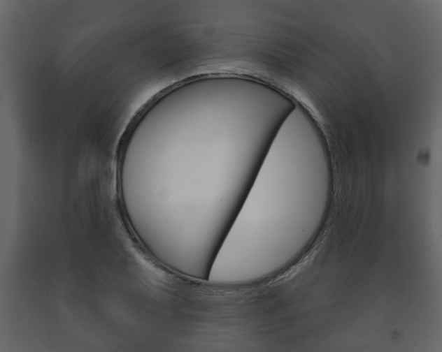 X0000091701079200708240928