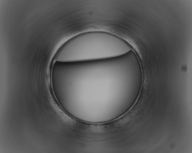 X0000091701080200708240928
