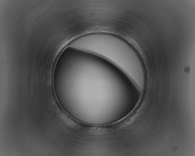 X0000091701081200708240928