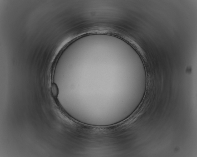 X0000091701083200708240928