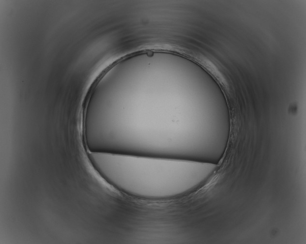 X0000091701084200708240928