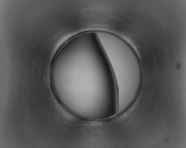 X0000091701085200708240928