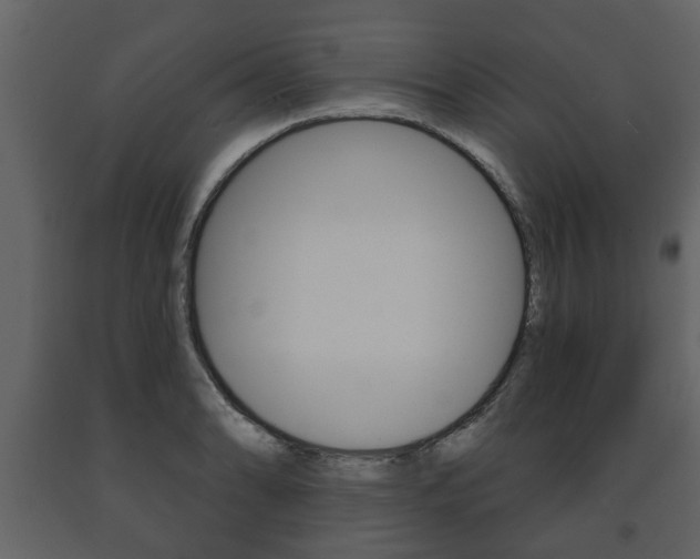 X0000091701086200708240928