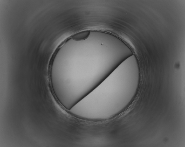 X0000091701087200708240928