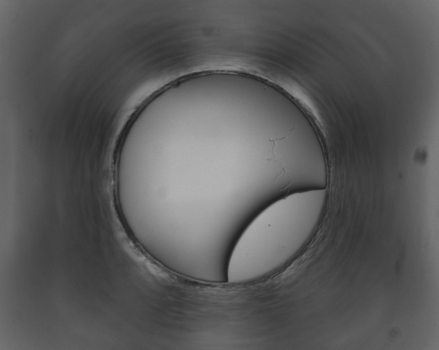 X0000091701088200708240928