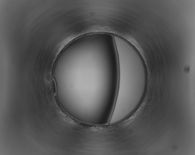 X0000091701089200708240928
