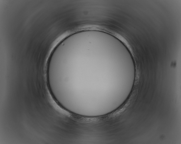 X0000091701090200708240928