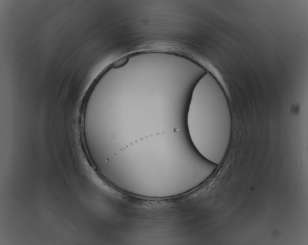 X0000091701091200708240927
