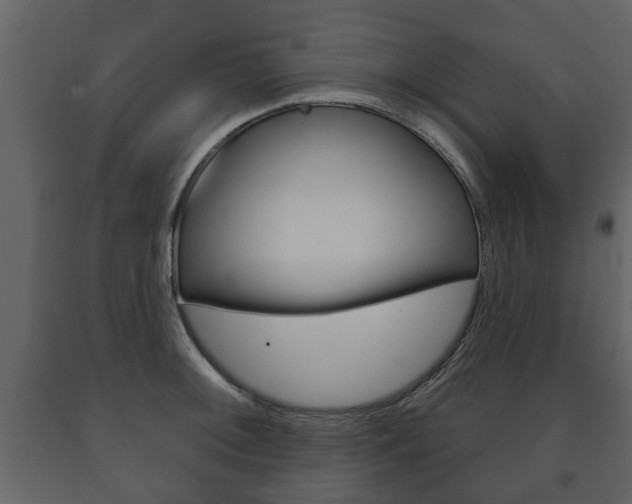 X0000091701092200708240927