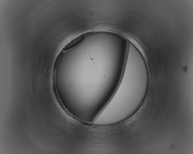 X0000091701093200708240927