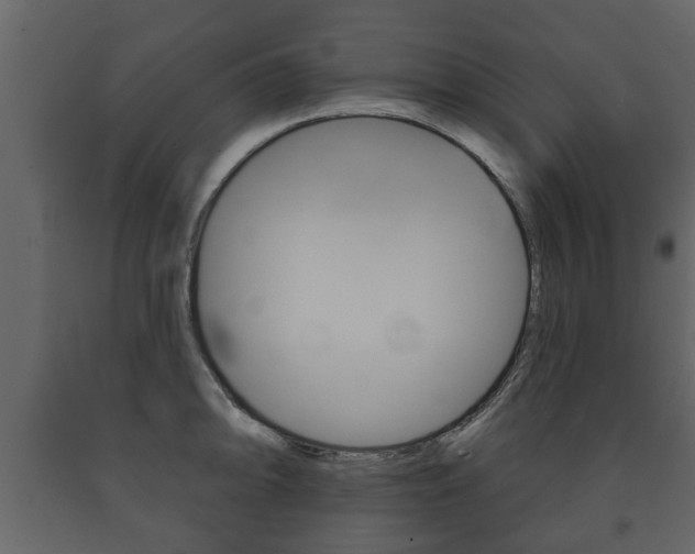 X0000091701094200708240927