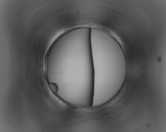 X0000091701095200708240927