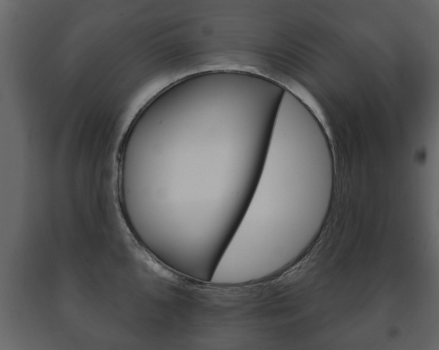 X0000091701096200708240927