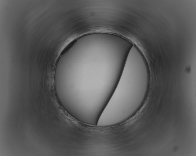 X0000091701097200708240927
