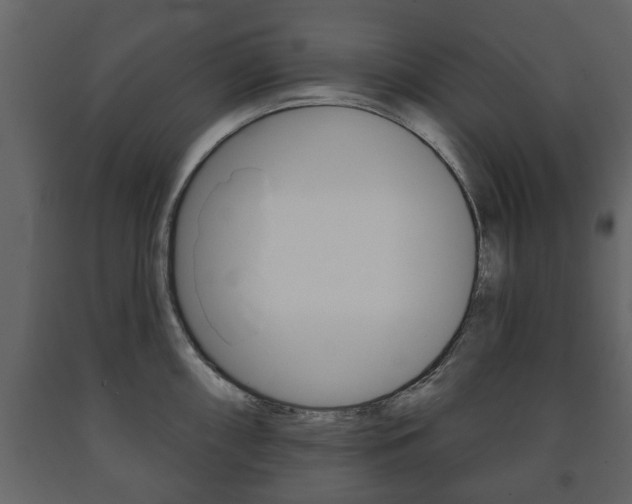 X0000091701098200708240927