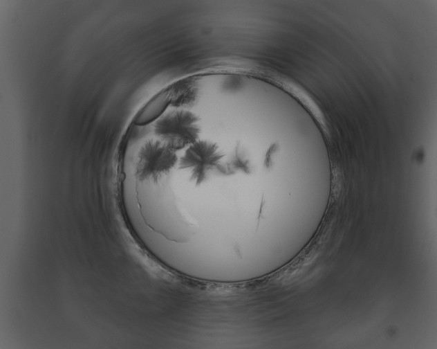 X0000091701099200708240927