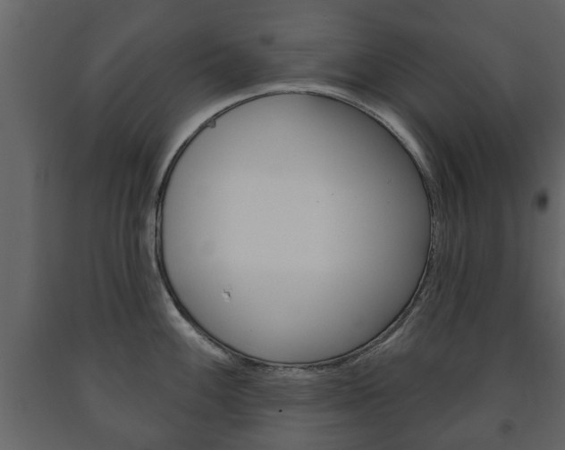 X0000091701100200708240927
