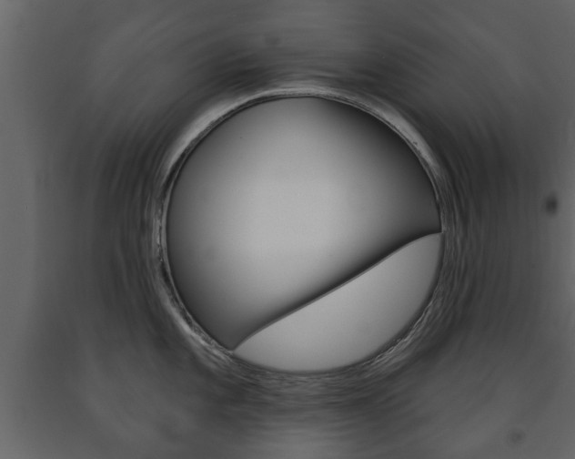 X0000091701101200708240927