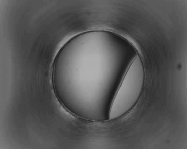 X0000091701102200708240927