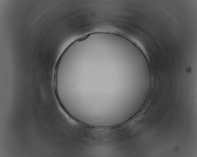 X0000091701103200708240927