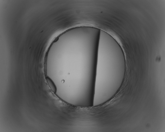 X0000091701104200708240927