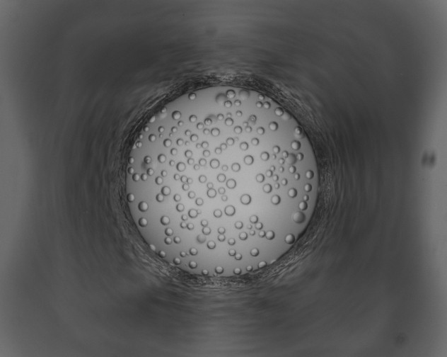 X0000091701105200708240927