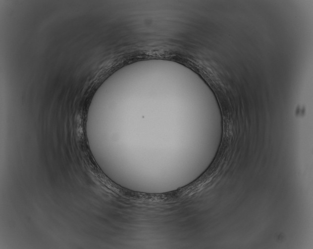 X0000091701106200708240927