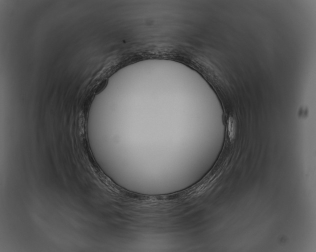 X0000091701107200708240927
