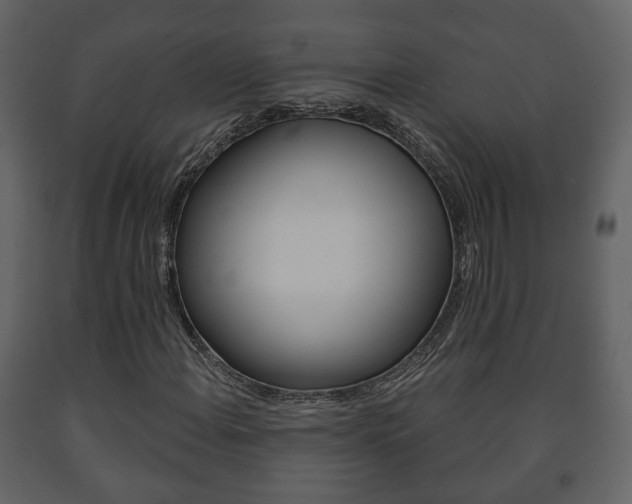 X0000091701108200708240927