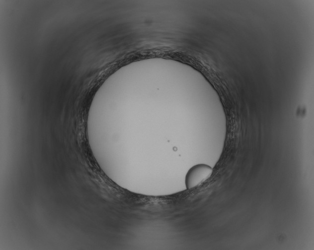 X0000091701109200708240927
