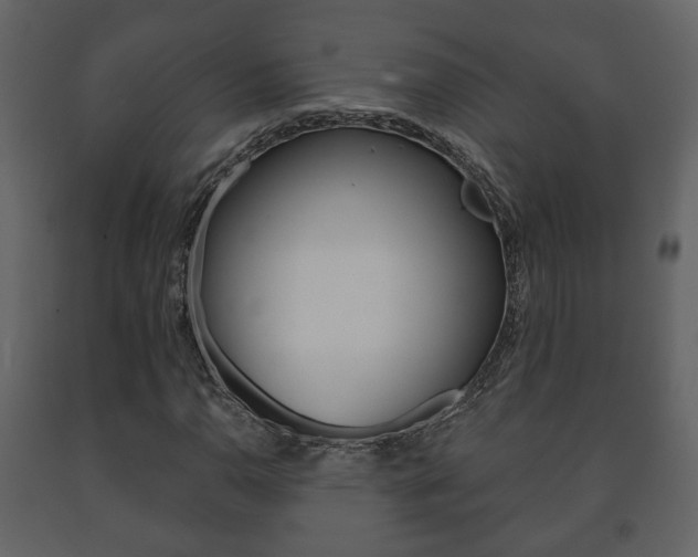 X0000091701110200708240927