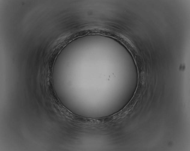 X0000091701111200708240927