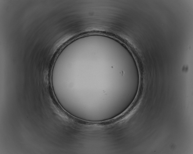 X0000091701113200708240927