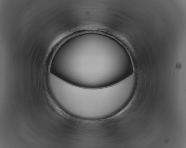 X0000091701114200708240927