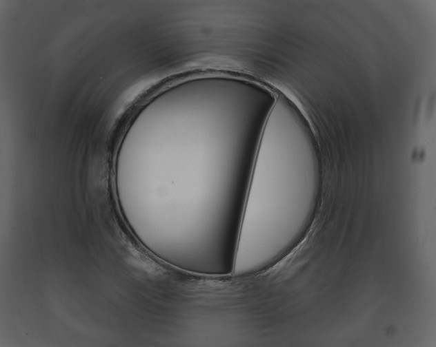 X0000091701115200708240927