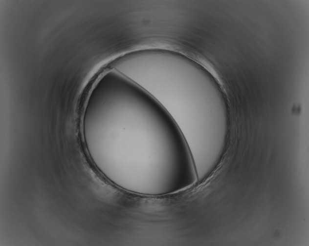 X0000091701116200708240927