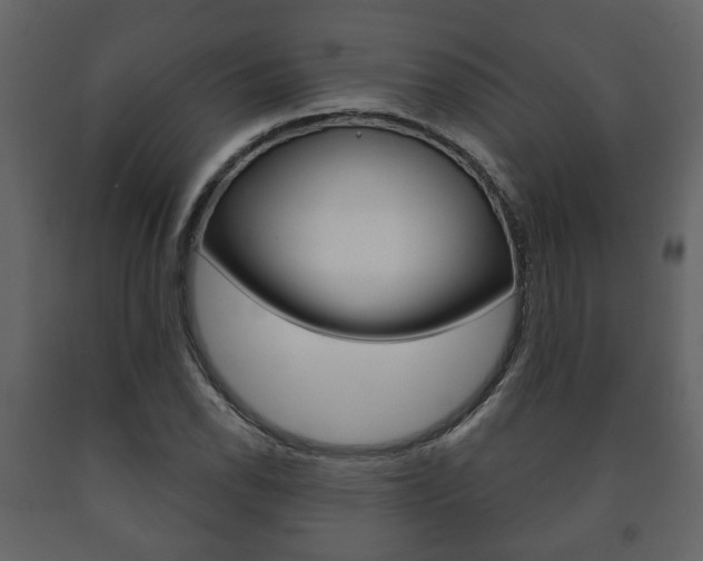 X0000091701118200708240927