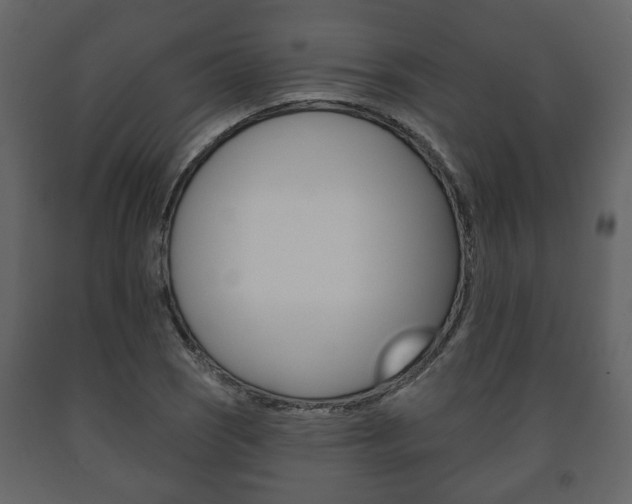 X0000091701121200708240927