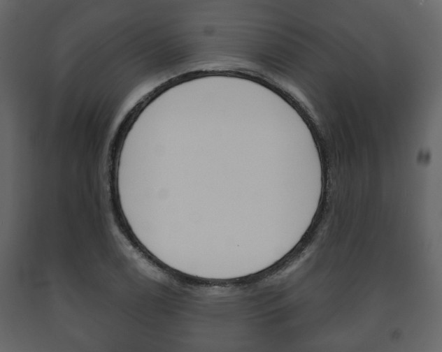 X0000091701122200708240927