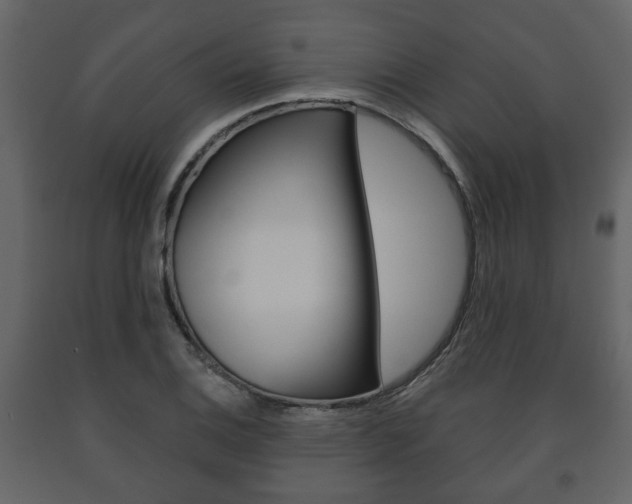 X0000091701124200708240927