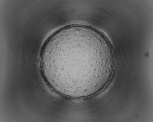 X0000091701125200708240927