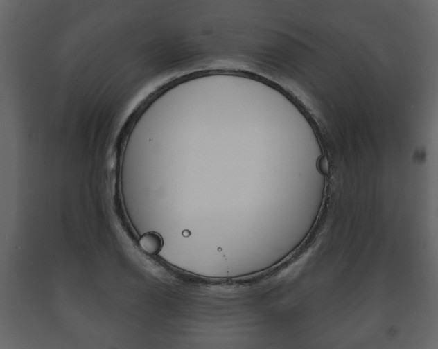 X0000091701126200708240927