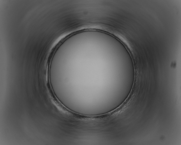 X0000091701127200708240927