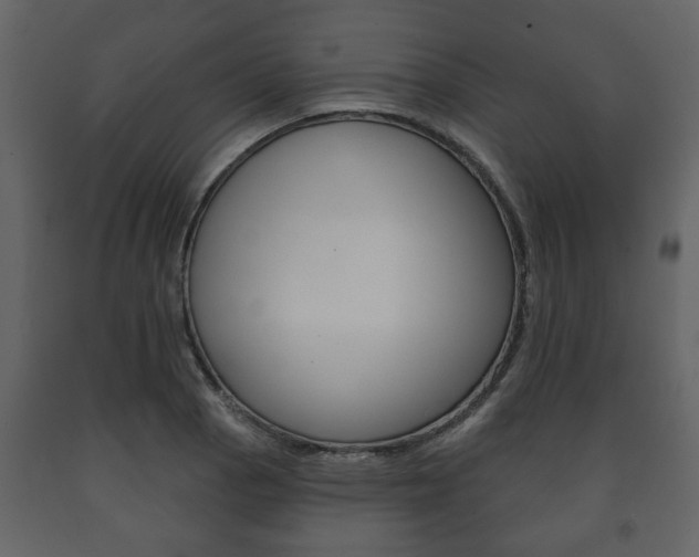 X0000091701129200708240927