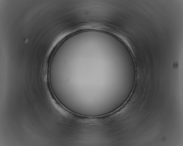 X0000091701131200708240927
